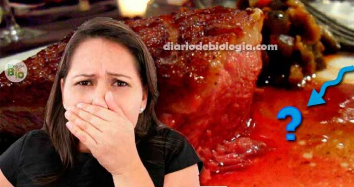 Carne sangrando: o líquido vermelho que escorre da carne não é sangue!
