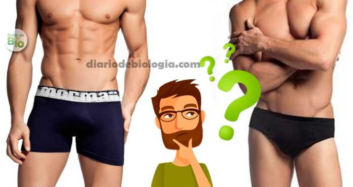 O que é melhor: usar cueca comum ou cueca boxer? A ciência responde!