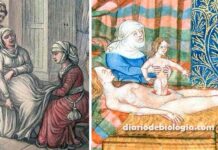 Parto na Idade Média: Como era dar à luz no período medieval