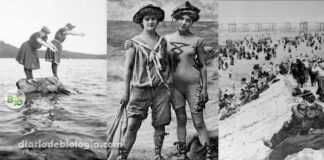 Pessoas na praia nos anos 1800 imagens antigas de pessoas na praia