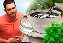 Chá para infecção urinária homem com dor na barriga