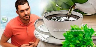Chá para infecção urinária homem com dor na barriga