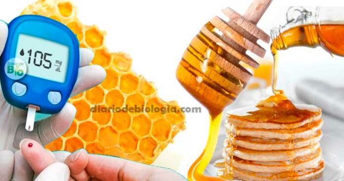 Diabetes X Mel: quem tem diabetes tipo 2 ( mellitus) pode comer mel
