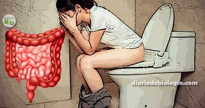 Síndrome do intestino irritável: veja sintomas e o que é proibido comer