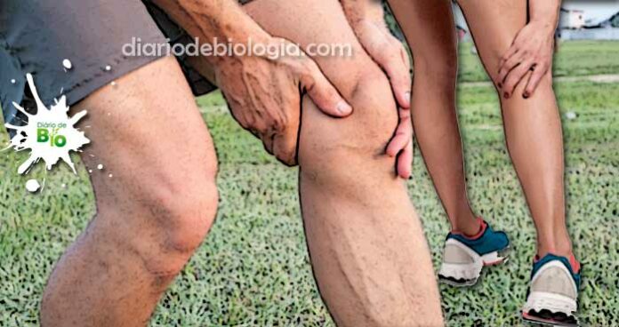 Dor atrás do joelho: O que está te causando essa dor?