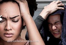 Sintomas de ansiedade: tudo sobre transtornos de ansiedade