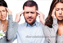 Chá para dor de cabeça: Aprenda 5 chás para curar sua cefaleia