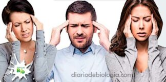 Chá para dor de cabeça: Aprenda 5 chás para curar sua cefaleia