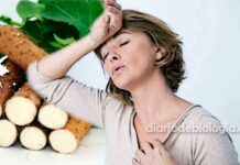 Remédio caseiro para menopausa: 7 receitas fáceis tiro e queda