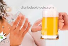 Alcool e antibiótico