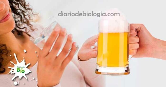 Alcool e antibiótico