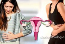 Dor na Ovulação: tudo que uma mulher precisa saber