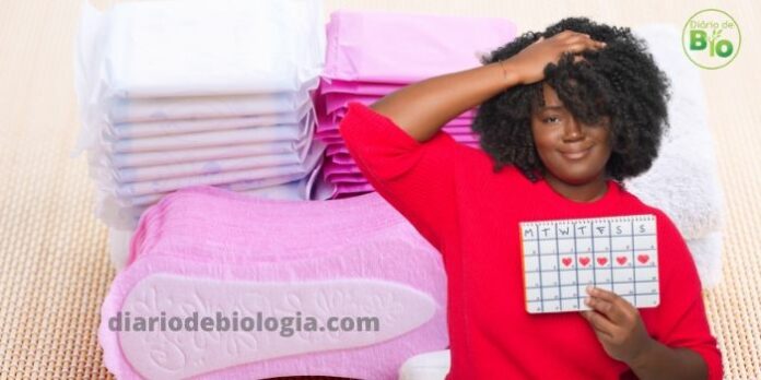 Fluxo menstrual intenso 11 causas, sintomas e tratamentos