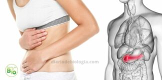 Pancreatite sintomas, causas e tratamentos